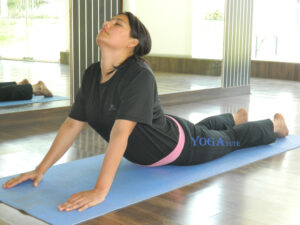 تمرين الكوبرا