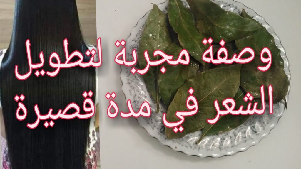 فوائد ورق الغار للشعر