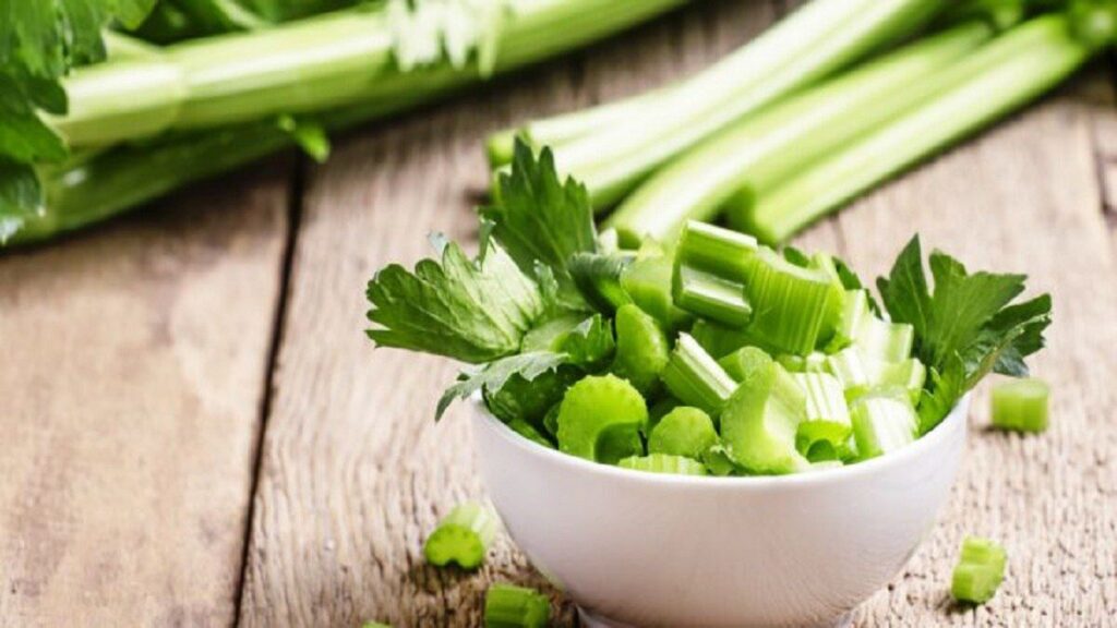 نبات الحنظل